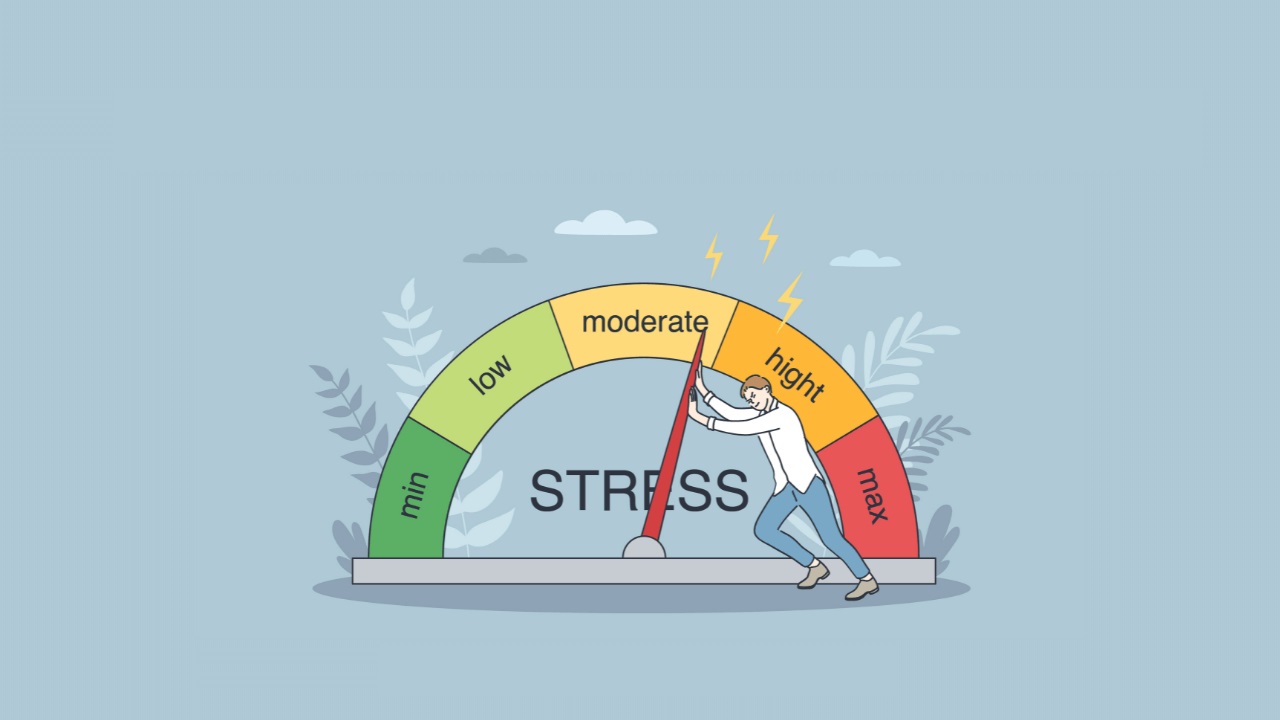 how to stress test a business plan